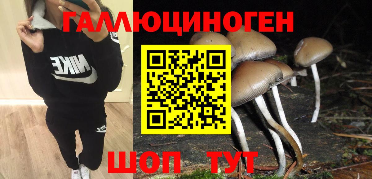 Когалым  Галлюциногенные грибы GOLDEN TEACHER  Вход с VPN 